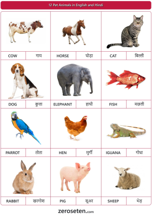 12 Pet Animals Names In Hindi And English - Zero Se Ten Blog