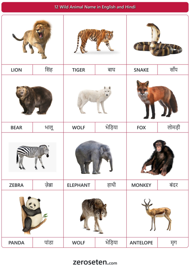 12 Wild Animal Names in Hindi and English - Zero se Ten Blog