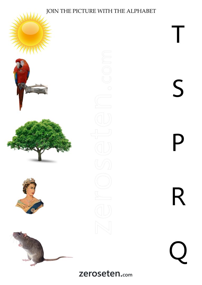 Join The Picture with The Alphabet P to T