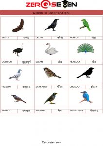 12 Birds Name in Hindi and English - Zero se Ten Blog